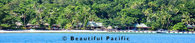Turtle Island Resort Fiji showing picture of beach