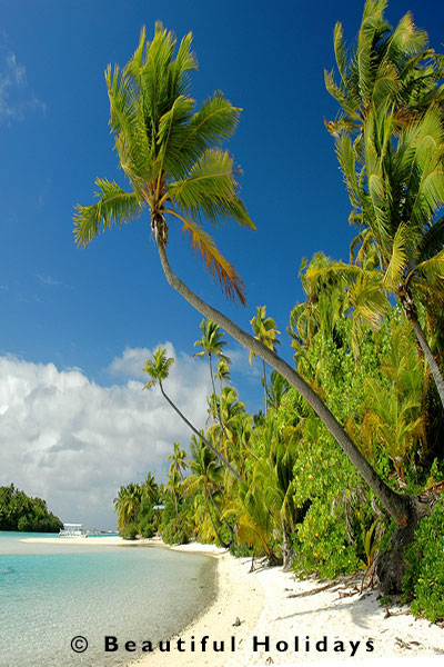 visit aitutaki island