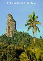 picture of west rarotonga