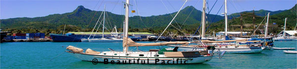 boats in harbour on rarotonga