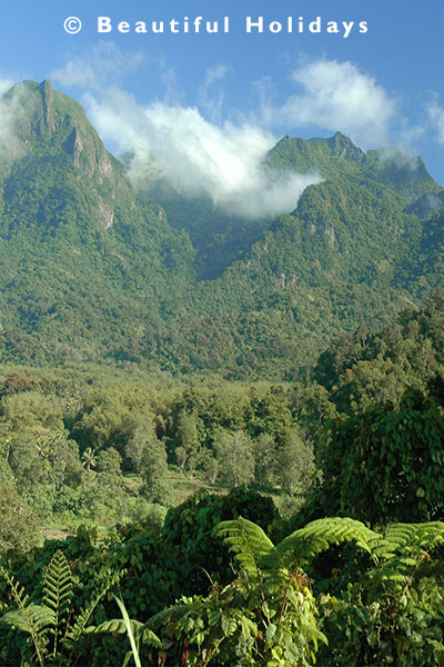 view of rainforest and river valleys
