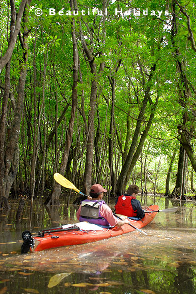 kayaking on holiday in fiji