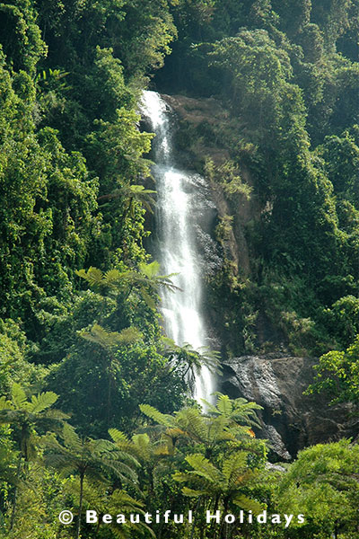 waterfall in the rainforest of viti levu