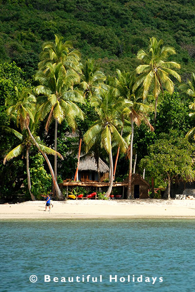 beach on kadavu