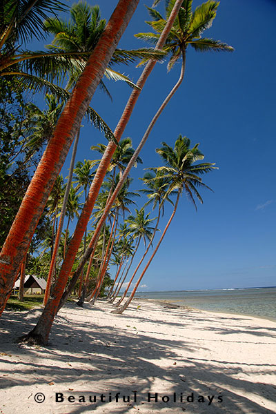 coastal village in fiji