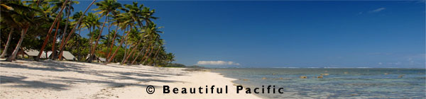 coral coast beach and palm trees