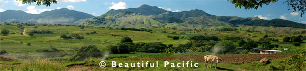 rural village scene outside nadi