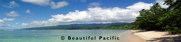 beach on taveuni island