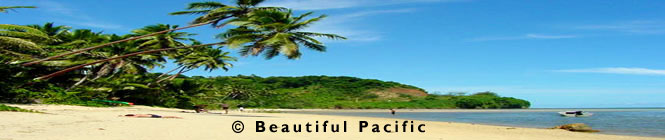 beach house backpackers hotel location picture