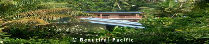 levuka homestay hotel location picture