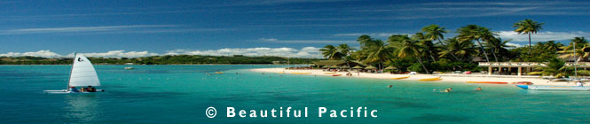 picture ofPlantation Island Resort beach