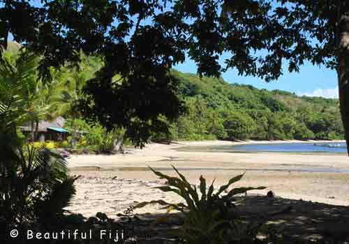 Waisalima Dive Resort Fiji Hotel Reviews