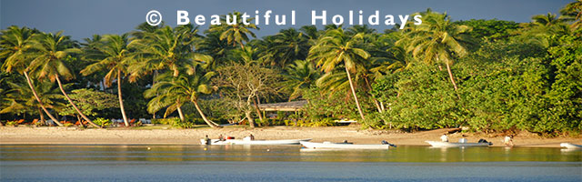 beach on kadavu island