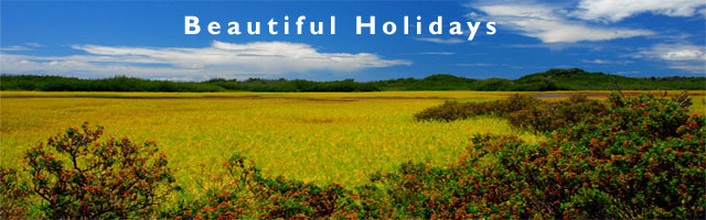 molokai holidays planner