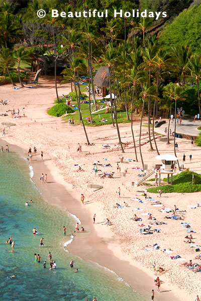 snorkelling in the ocean at haumua bay on ohau island in the hawaiian islands