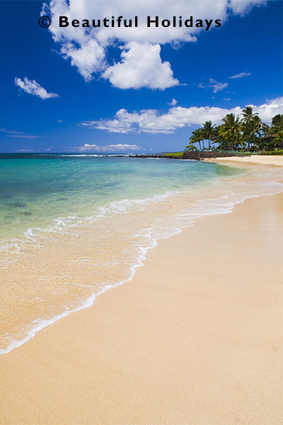 white sandy beaches make the perfect spot for a honeymoon in hawaii