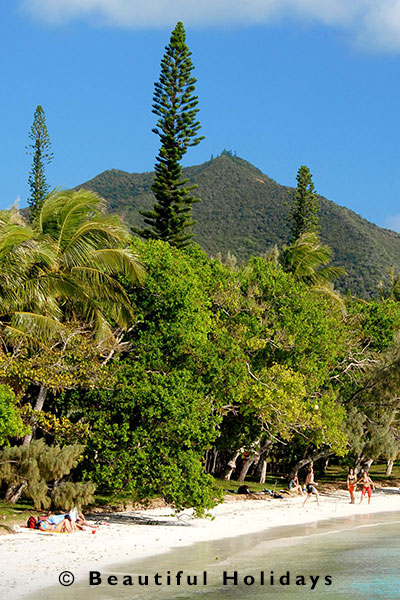 beach in isle of pines