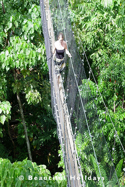 faleulopu rain forest canopy walk