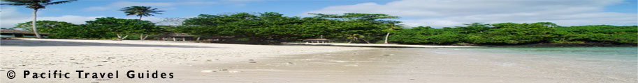 Aganoa Beach Fales Samoa showing picture of beach