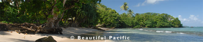 picture of Sinalei Reef Resort, Upolu Island