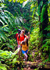 hiking in rainforest