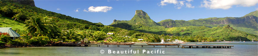 holiday scene on moorea island