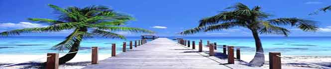 Le Maitai Rangiroa Tahiti showing picture of beach in French Polynesia