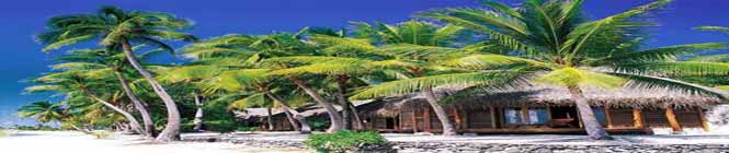 Pearl Resort Tikehau Tahiti showing picture of beach in French Polynesia