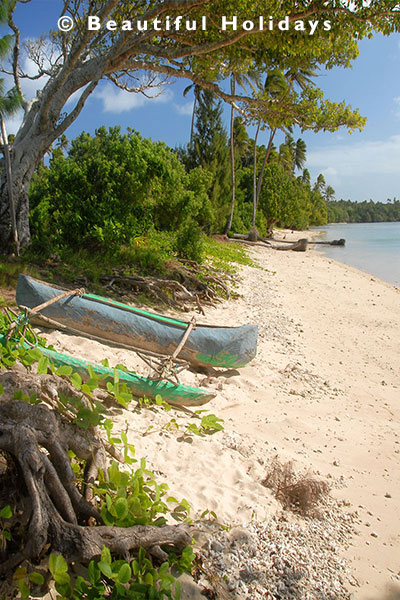 beach in haapai