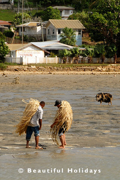 local men and pig fishing in lagoon