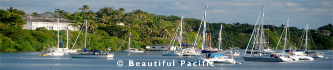 paradise hotel tonga islands picture
