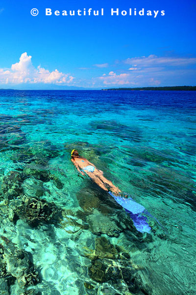 snorkelling a coral reef in vanuatu