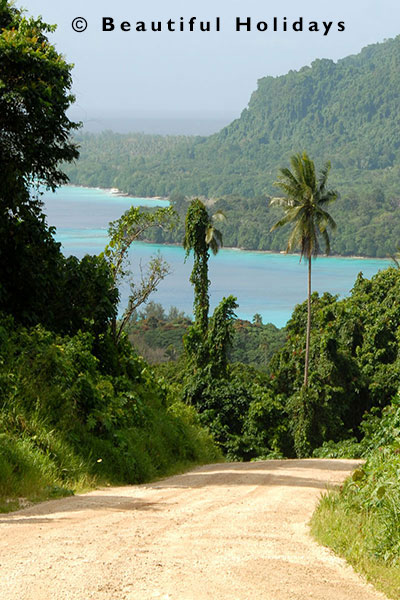 remote wilderness road on espiritu santo