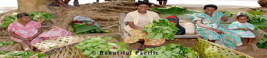 local market in vanuatu's outer islands