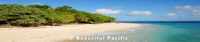 picture of Bokissa Private Island Resort, Santo