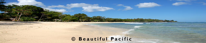 picture of Eratap Beach Resort, Efate Island