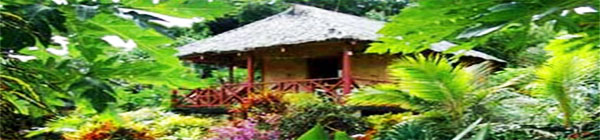 tanna Evergreen Lodge hotel location picture